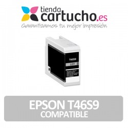 Epson T46S9 Gris Light...